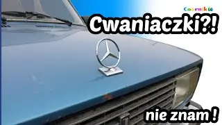 Panie, żaden składak!