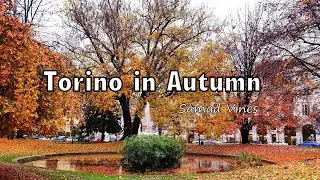 Torino in Autumn | Torino in Autunno | Autumn Colors | Colori Autunnali