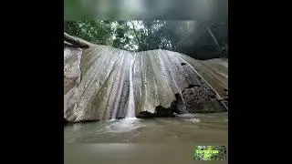 Turure Watersteps (Cumaca Falls)- Trinidad and Tobago