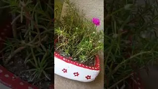 DIY|decorative items||plant pot decoration||home decor#decoration #decor #plants #shorts #viral #pot