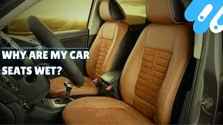 Why are my car seats wet?