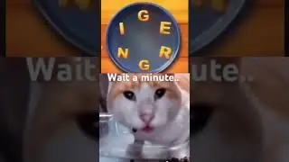 Hold Up Wait A min... #memes #funny #fyp #video #viralvideo #shorts #cat