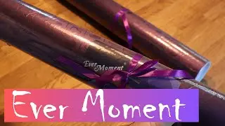Ever Moment unboxing 🦜🐢 Begeisterung pur