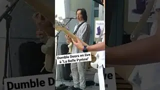 Dumble Doors en concert EXTRAIT 4 #concerts #livemusic #musicgroup