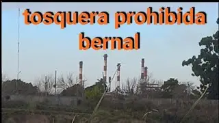 La tosquera prohibida de Bernal 