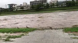 Crazy Kamogawa flood 2020 Kyoto, Japan