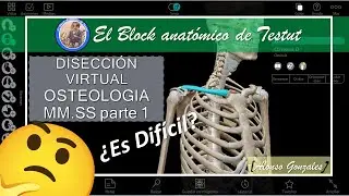 DISECCI&Oacute;N VIRTUAL: Miembro Superior - Osteolog&iacute;a (PARTE1)