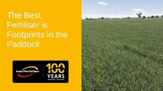 The Best Fertiliser is Footprints in the Paddock by Jim Laycock