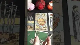 Есть ли порча? Обучение таро 