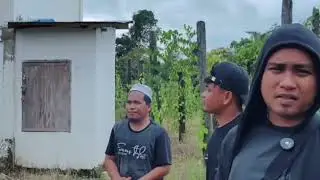 pengecekan rbw yang munggunakan twitter orange namun bukan tipe audax