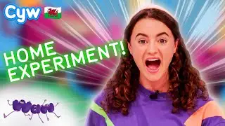 Waw! Grymoedd - Arbrawf Adref 🏠 Home Experiment | Welsh Science for Kids 🏴󠁧󠁢󠁷󠁬󠁳󠁿