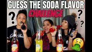SODA TASTE TEST CHALLENGE ! ( BLIND FOLD)