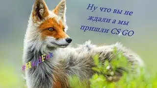 ##HardFox#Батя я на тв)))