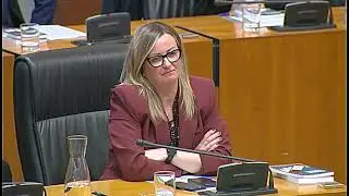 Intervención del presidente de la Asamblea de Extremadura, Manuel Naharro