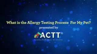 06 - What is the Allergy Testing Process For My Pet?