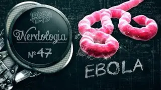 EBOLA | Nerdologia