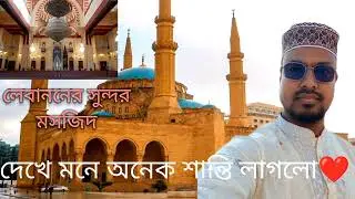 Lebanon Beirut Mohammad Al Amin (Rafiq Hariri) Mosq.লেবানন বৈরুত মসজিদ।