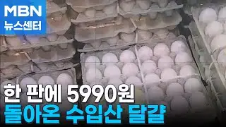 백색 미국산 달걀이 한 판에 5990원&hellip;설 물가 잡기 총력전 [MBN 뉴스센터]