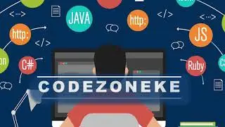 Novice to Professional Developer Channel