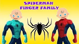 Spiderman BABY Finger Family Nursery Rhyme Daddy Finger Songs For Kids, Babies Toddlers