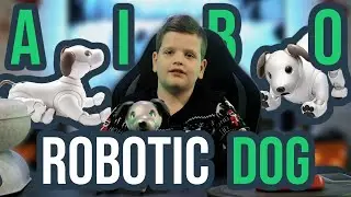 Роботизированная собака Aibo Sony I: трюки и команды