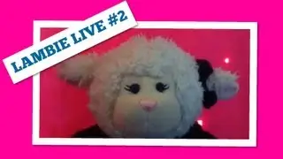 #185: Lambie's 2nd Kondoot Show - LambCam
