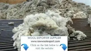 Sydney Bulk Wool Supplier