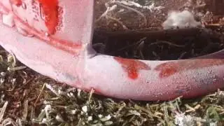 INSTANTLY RELEASING LPG GAS FROM CYLINDER