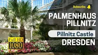 Inside Tour of Palmenhaus Pillnitz | Palmenhaus Pillnitz | Pillnitz Castle