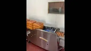 STAALKAT FARMPACKER WITH STACKER