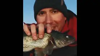 HOW I COOK WHOLE WALLEYE