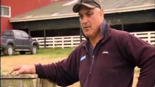 TV One Rural Delivery - Otakanini Topu Sustainable Sheep & Beef