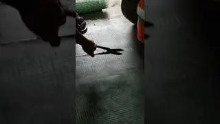 cutting steel net with steel cutter , #shorts , #happyman , #subscribe , #trending , #trend
