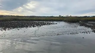 St. Augustine Reds: One Last Cast Gone Wrong
