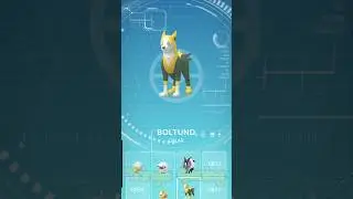 Yamper: The Evolution of a Good Boy
