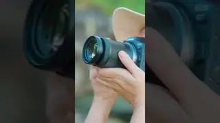 TOP 5: Best Canon Camera 2022 | finest DSLR, mirrorless and compact models! #shorts