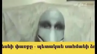 Dolphin Man
