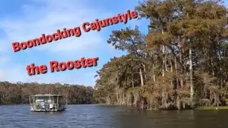 The Rooster