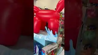 Dog Sprinkler at PetSmart