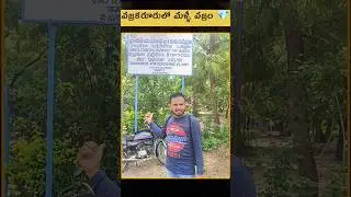 Diamond 💎 Found Again in Vajrakaruru #shorts #diamonds #kurnool #jonnagiri #diamond #anantapur #rain