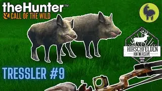 Tressler #9 Hirschfelden | theHunter: Call of the Wild (PS5 4K)