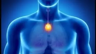 TIMO: SUA IMPORTÂNCIA PARA SAÚDE - Exercício para estimulá-lo