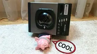 🐷 Bonus video by Happy Pigs (washing machine issues)