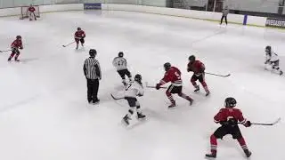 Anaheim Ice Dogs