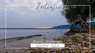 Bodensee: Morgenstimmung am Wocherhafen | Bregenz - Austria | 4K