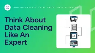How Do Experts Think About Data Cleaning?
