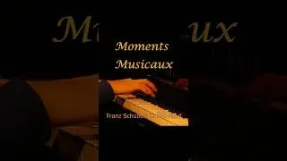 Franz Schubert Moments Musicaux No. 4 D780 OP. 94 Musical Piano Solo Classical Romantic #pianoshorts