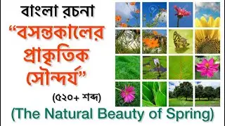রচনাঃ বসন্তকালের প্রাকৃতিক সৌন্দর্য | The Natural Beauty of Spring | 520+ words | Easy Bangla Essay