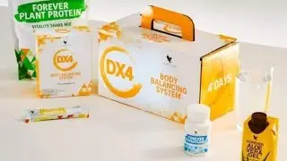 КАК ПРИНИМАТЬ. ПРОГРАММА DX4