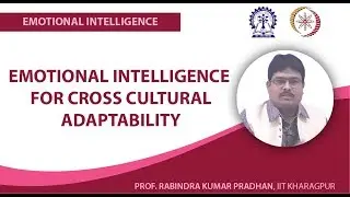 Emotional Intelligence  for Cross Cultural Adaptability